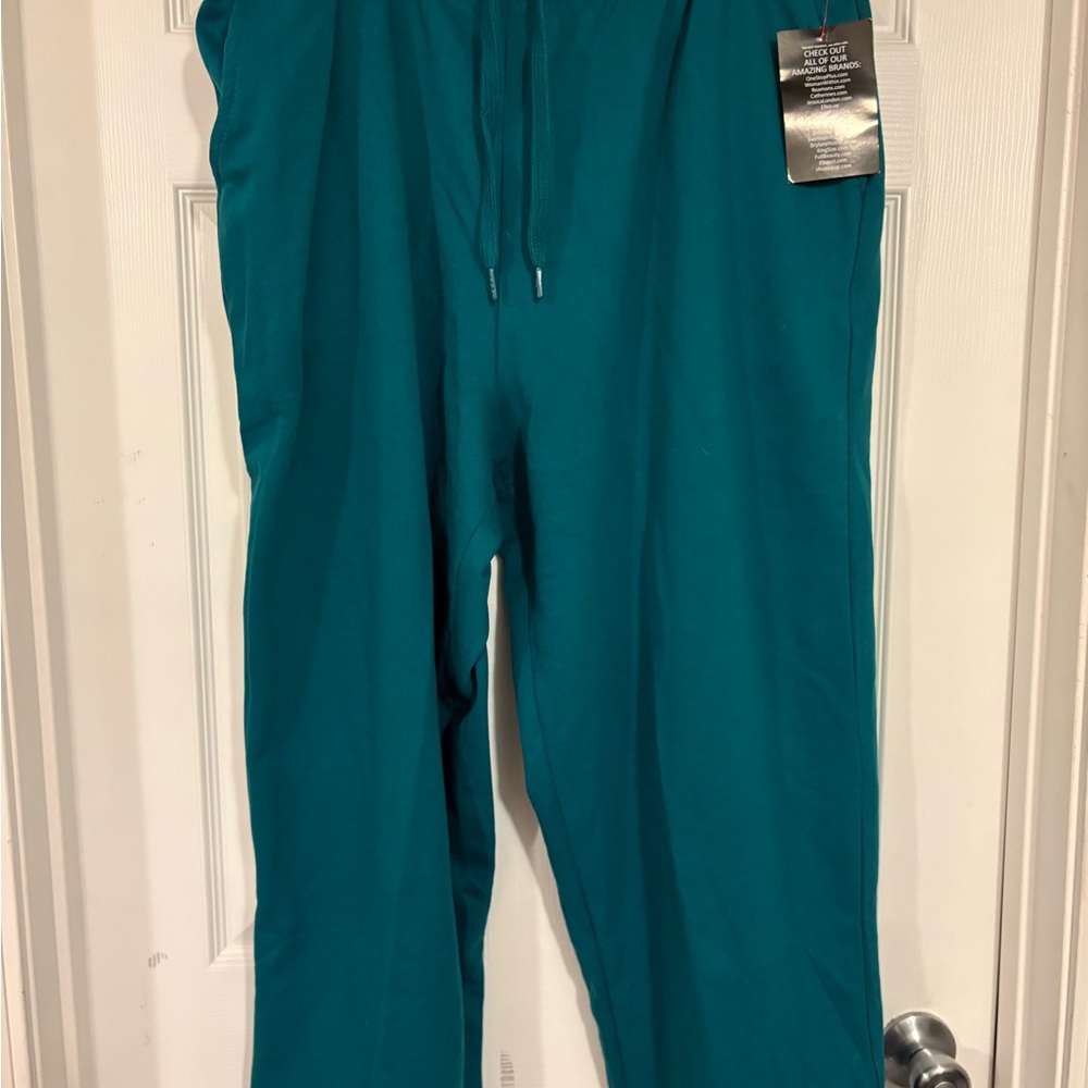 BNWT Woman Within teal fleece drawstring sweatpants 1x 22/24 PETITE pockets warm